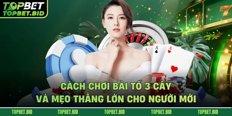 cách chơi bài tố 3 cây
