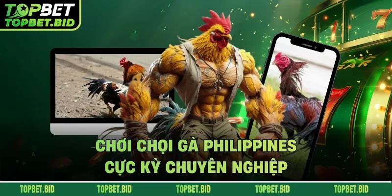 Chơi chọi gà Philippines cực kỳ chuyên nghiệp