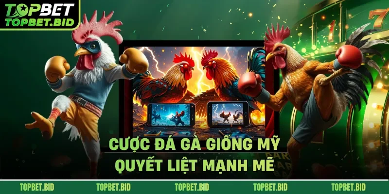 Cược đá gà giống Mỹ quyết liệt mạnh mẽ