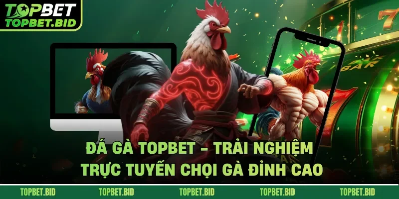 Đá gà TOPBET