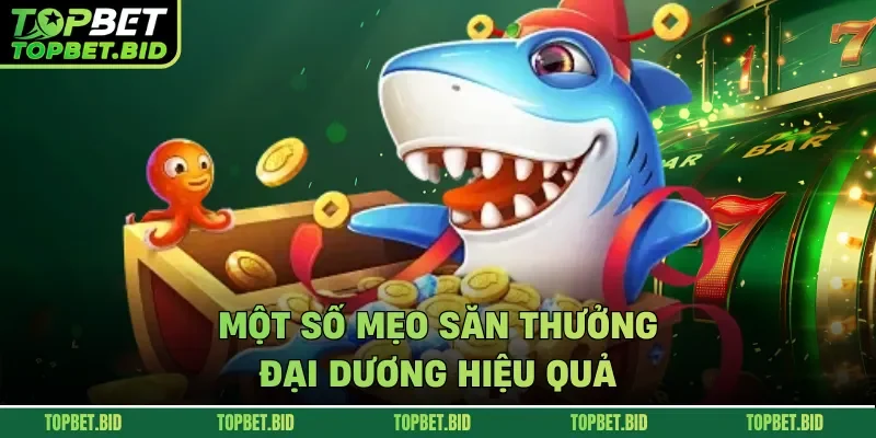 Một số mẹo săn thưởng đại dương hiệu quả