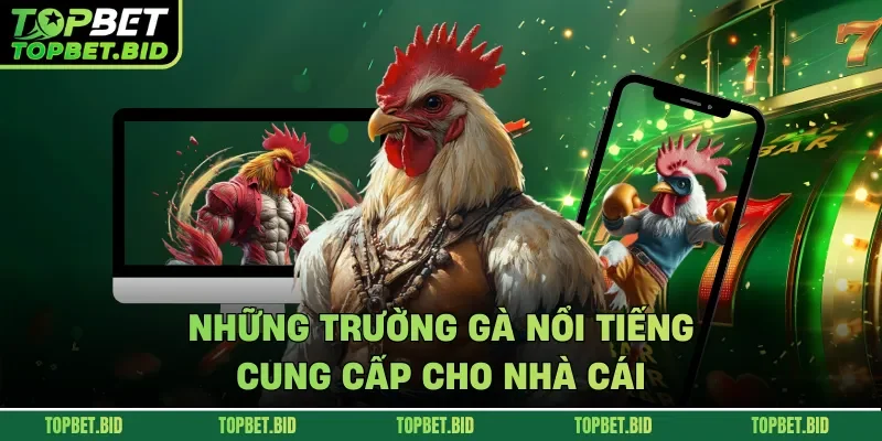 Những trường gà nổi tiếng cung cấp cho nhà cái