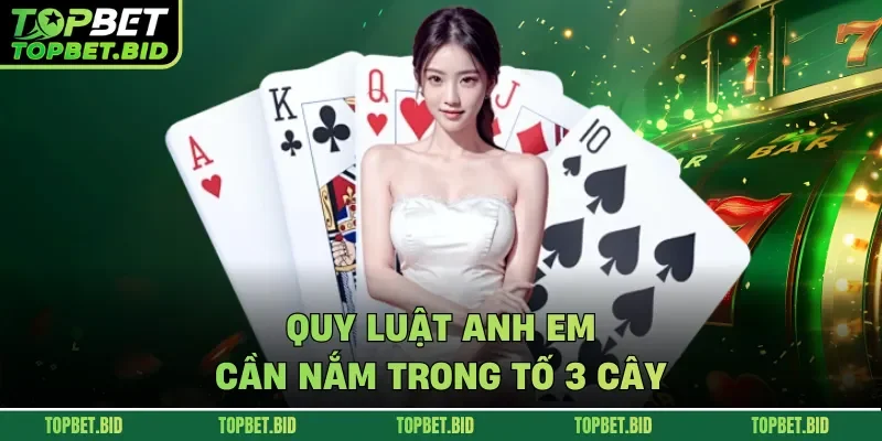 Quy luật anh em cần nắm trong tố 3 cây