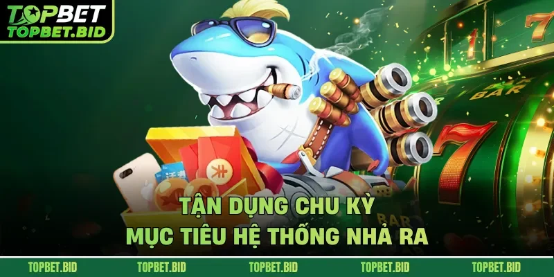 Tận dụng chu kỳ mục tiêu hệ thống nhả ra