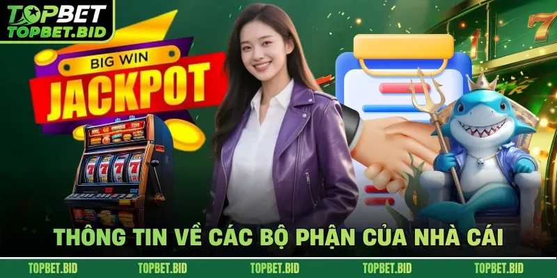 Thông tin về các bộ phận của nhà cái
